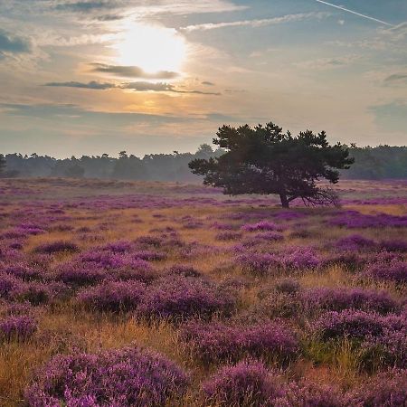 Отель Woodz Aan De Bosrand Anloo Экстерьер фото